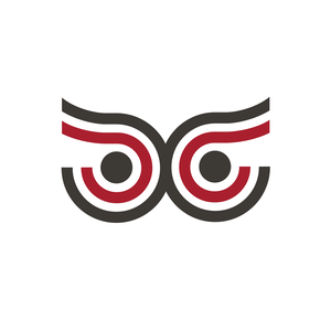 Team Page: Consilium Consulting